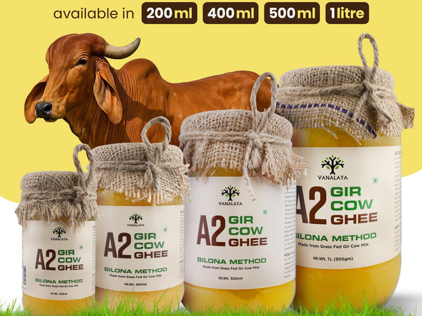 The Traditional Bilona Method Behind Authentic A2 Gir Cow Ghee