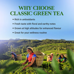 Classic Green Tea