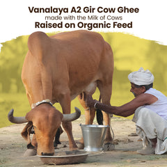 A2 Gir Cow Ghee