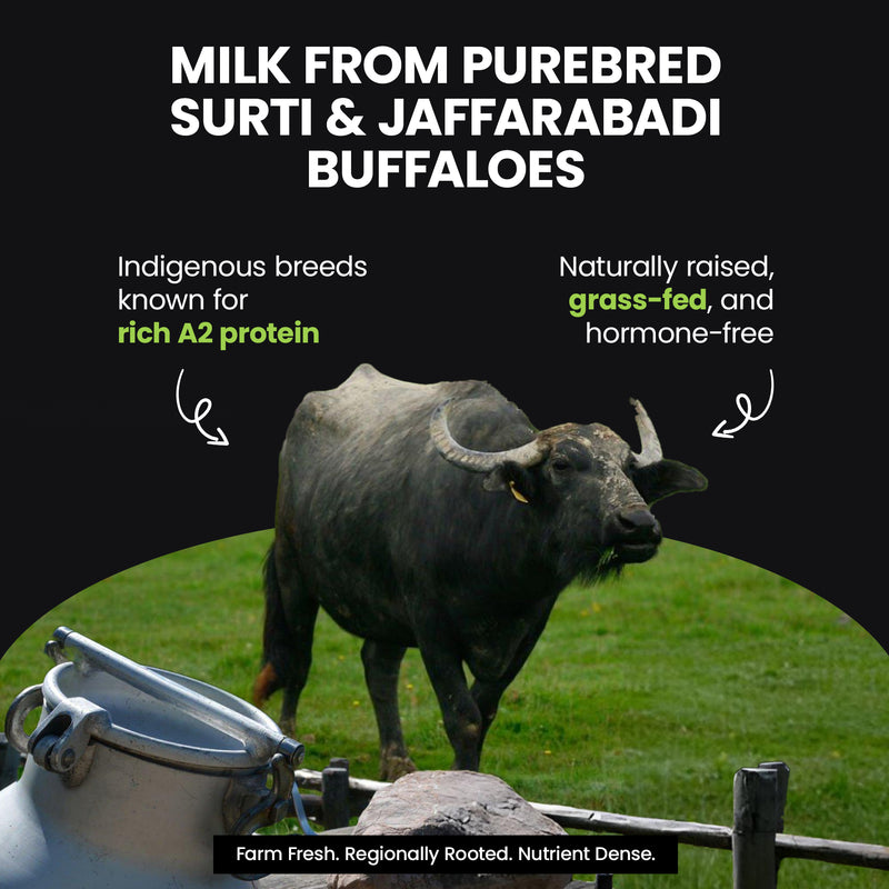 A2 Pure Buffalo Ghee