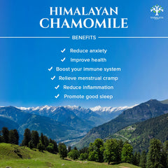 Calming Chamomile Herbal Tea