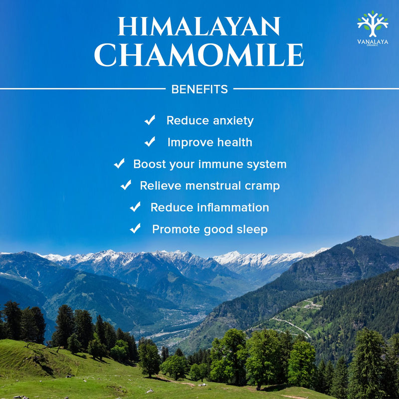 Calming Chamomile Herbal Tea